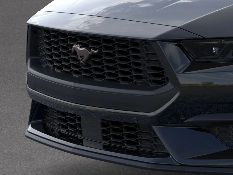 New 2026 Shadow Black Ford EcoBoost® Premium Convertible image 17