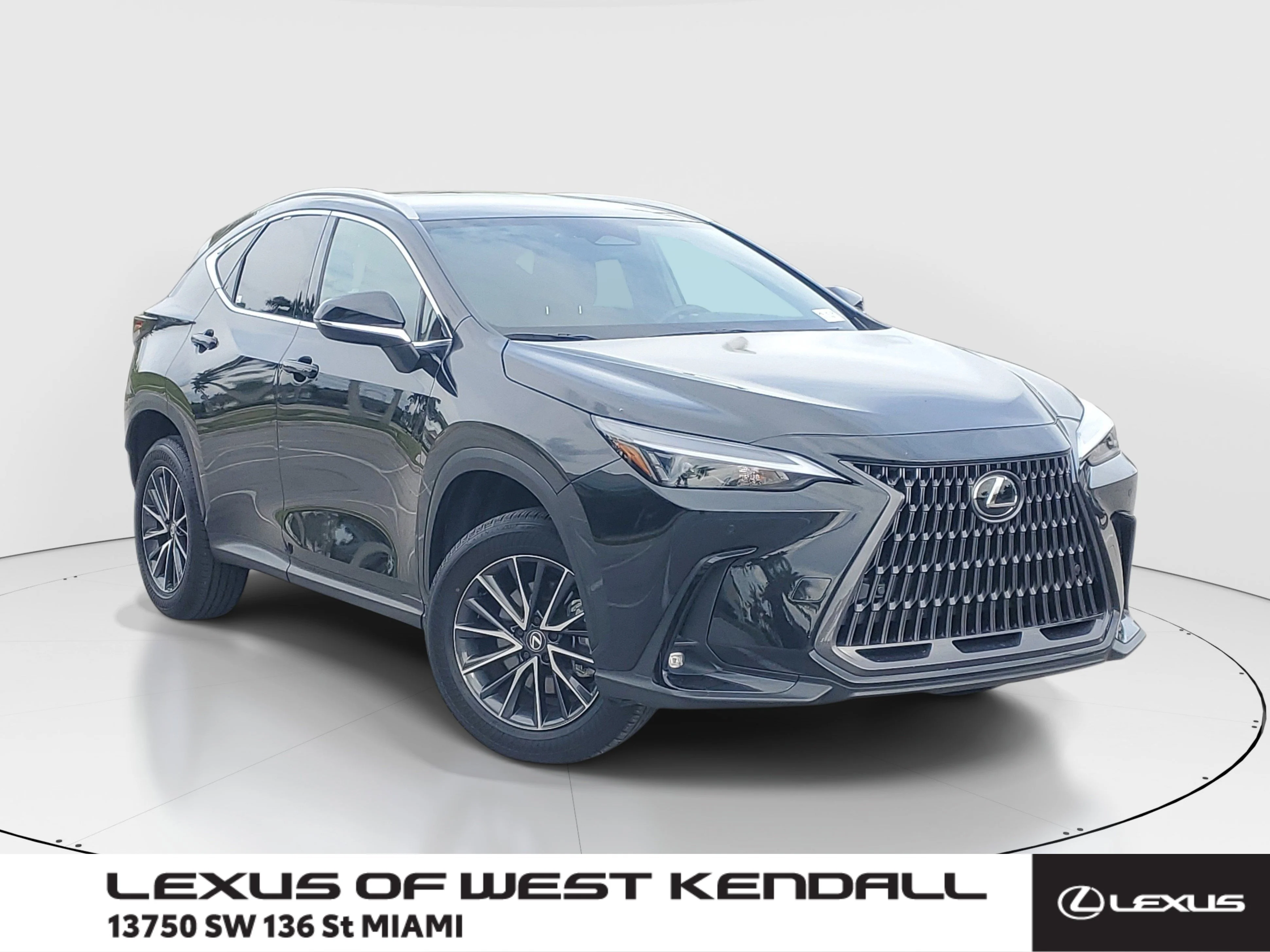 2025 Lexus NX