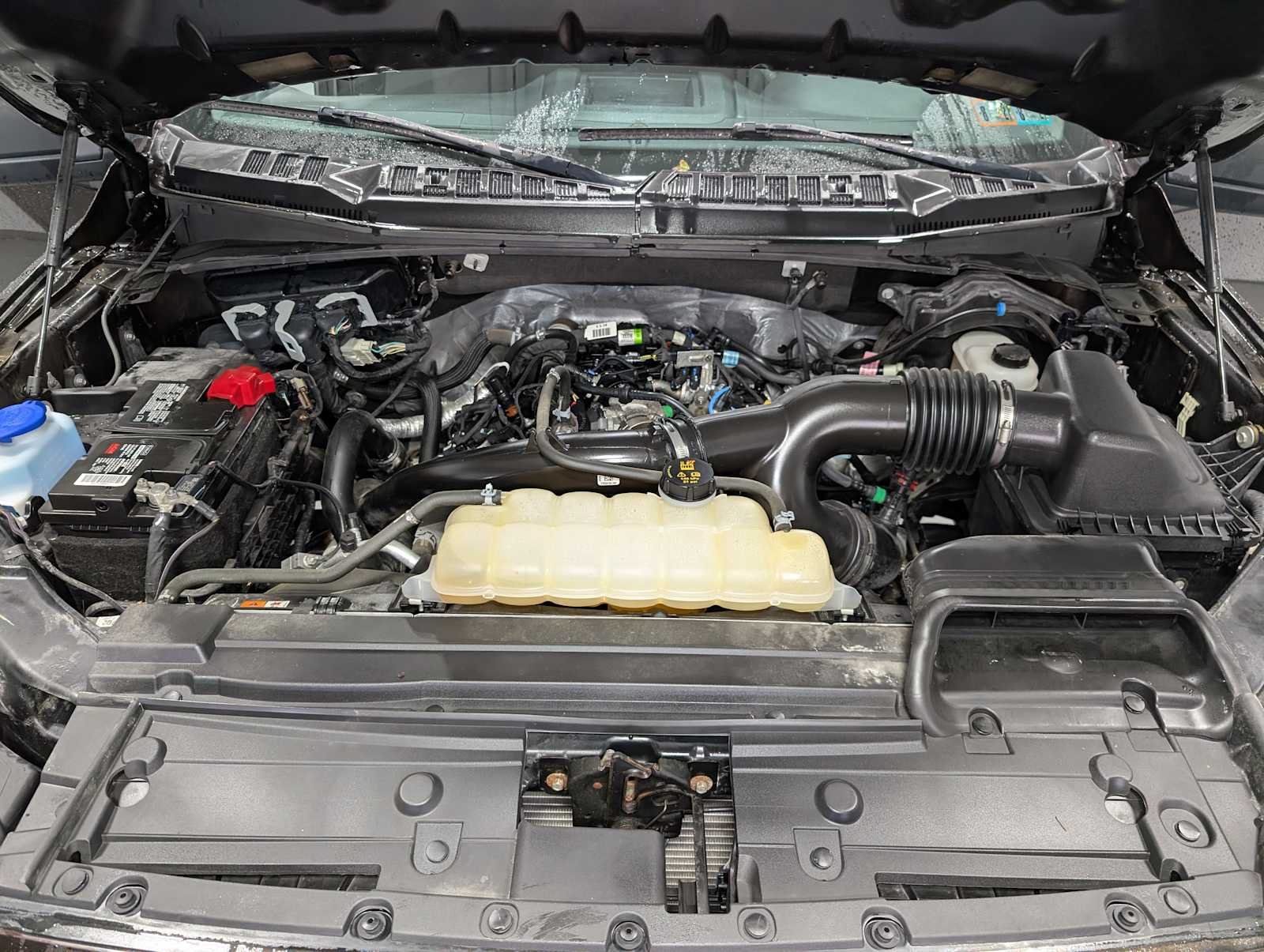 Used 2020 Magma Red Ford XL image 14
