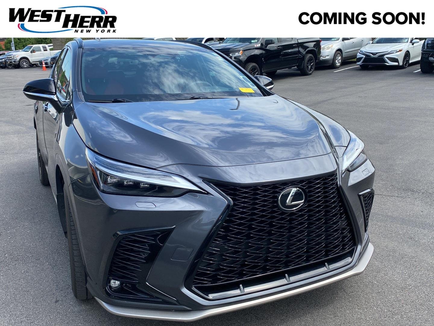 2024 Lexus NX 350 350 F-Sport AWD's photo