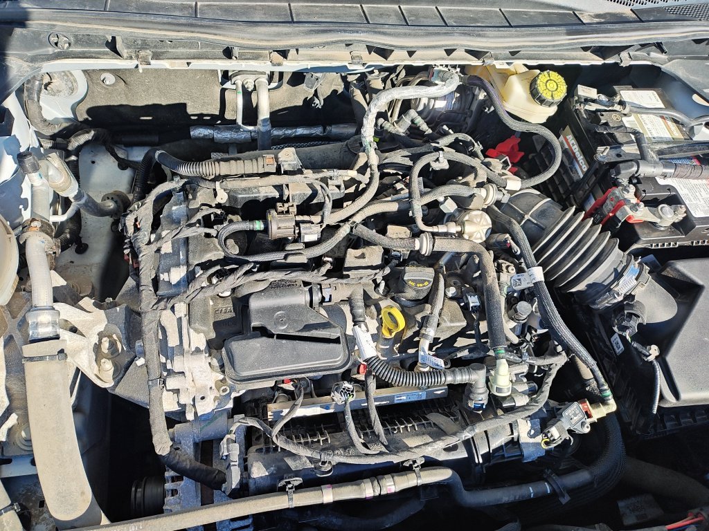 Used 2022 White Ford SEL image 25