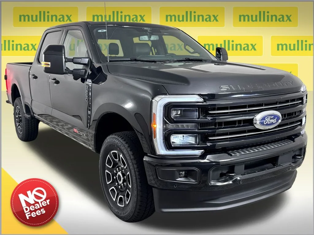New 2026 Black Ford Platinum image 1