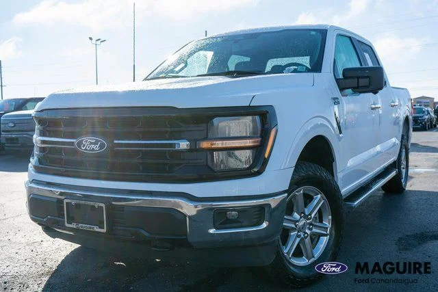 2024 Ford F-150 XLT 4x4 SuperCrew 5-1/2 Box's photo