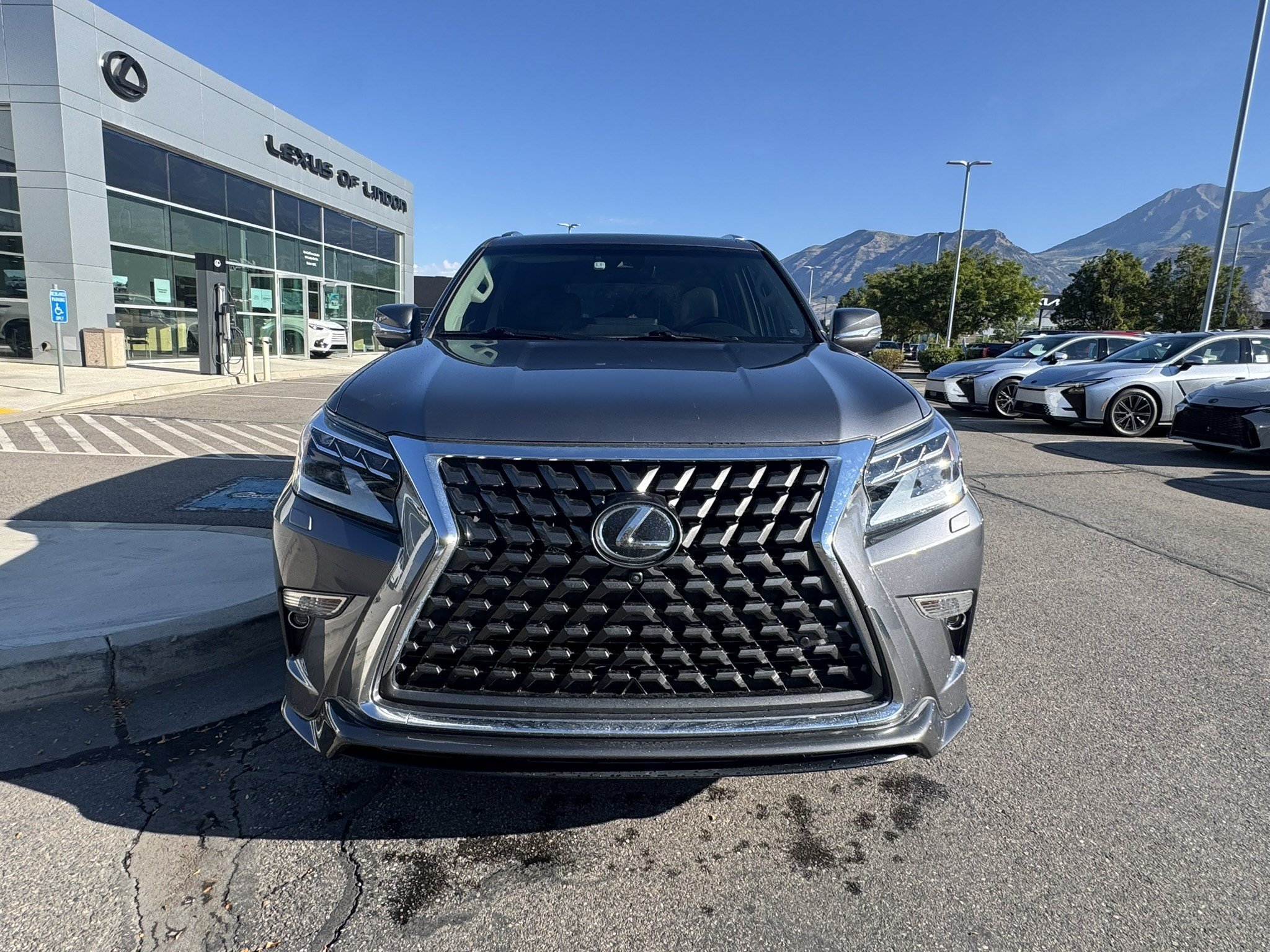 Used 2023 Gray Pearl Lexus 460 Luxury image 9