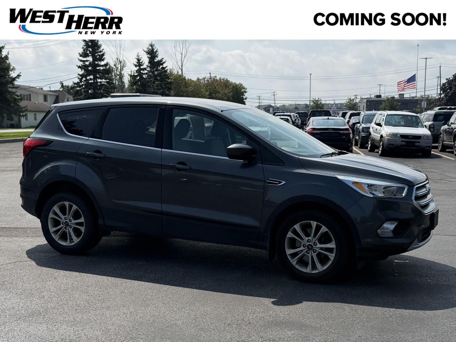 Used 2019 Magnetic Ford  image 1