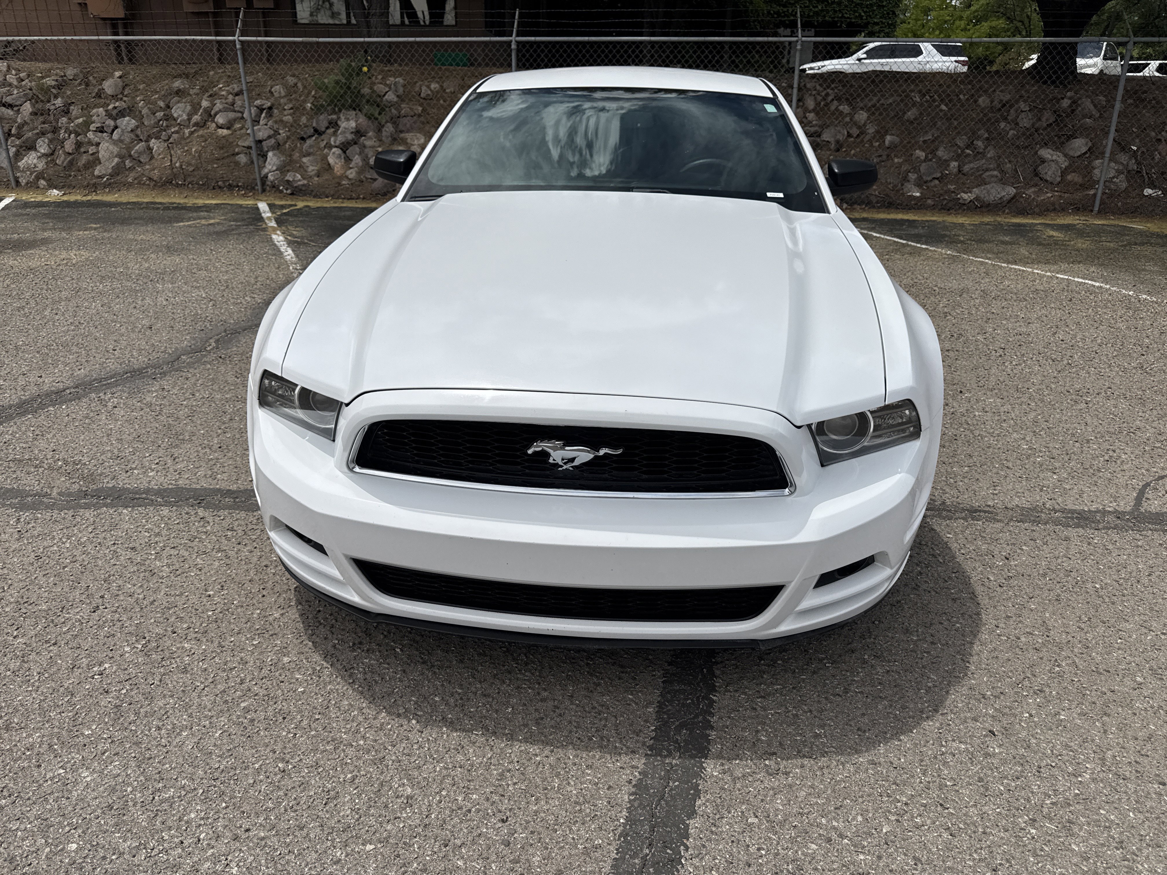 Used 2014 Ford Mustang V6 with VIN 1ZVBP8AM1E5310184 for sale in Nogales, AZ