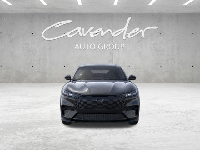 New 2026 Shadow Black Ford Premium image 7