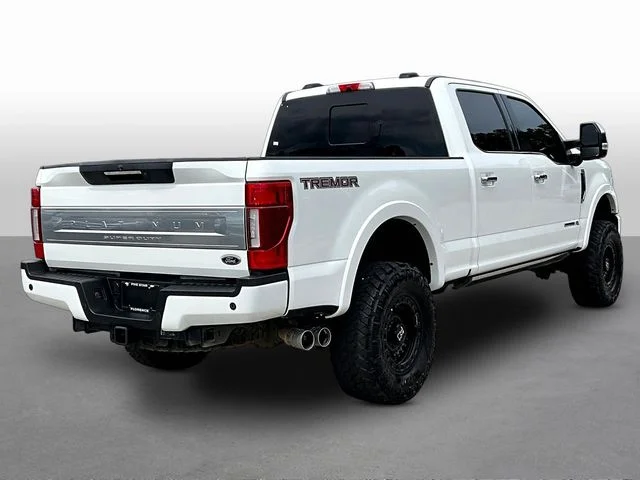 Used 2022 White Ford Platinum image 8