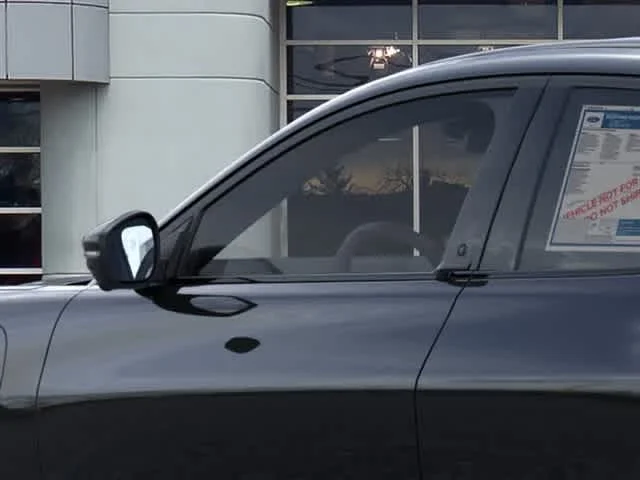 New 2026 Shadow Black Ford Premium image 25