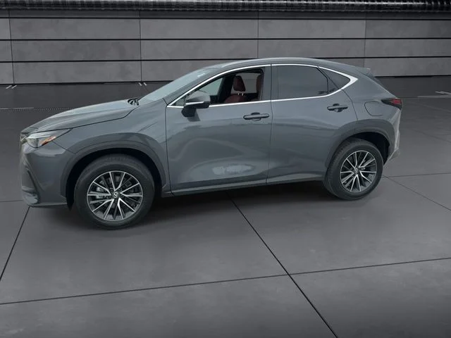 Used 2024 Gray Lexus 250 Premium image 5