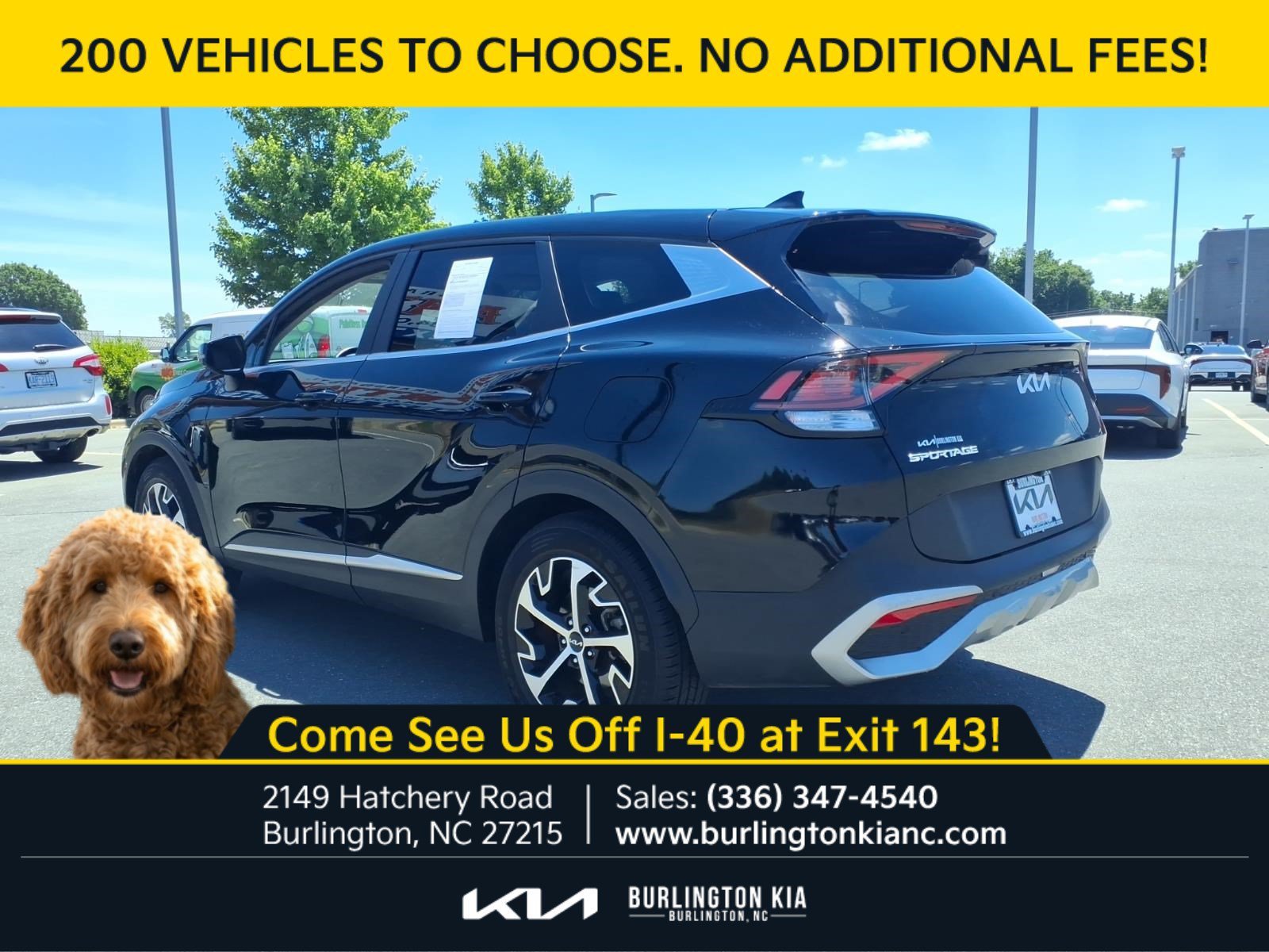 Certified Used 2024 Ebony Black Kia EX image 23