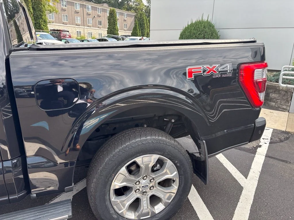 Used 2022 Black Ford Platinum image 11