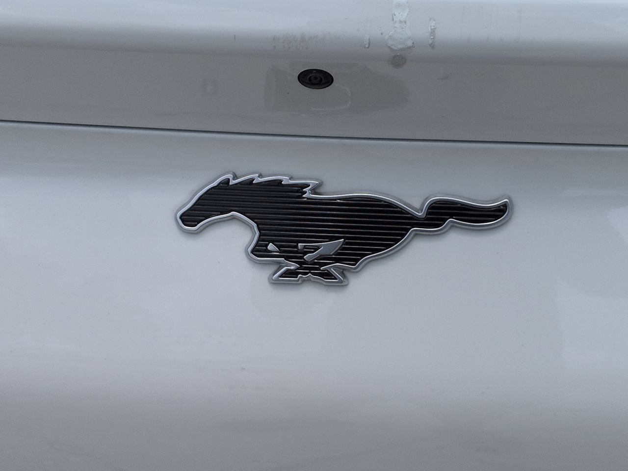 Used 2023 White Metallic Ford Select image 15