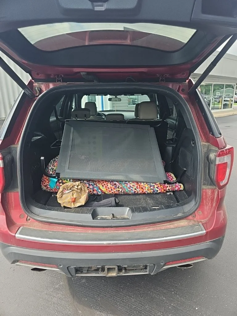 Used 2019 Red Ford Limited image 8