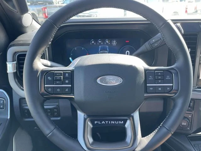 New 2026 Black Ford Platinum image 19