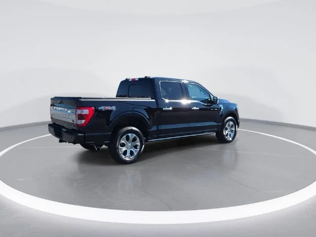 Used 2023 Black Ford Platinum image 2