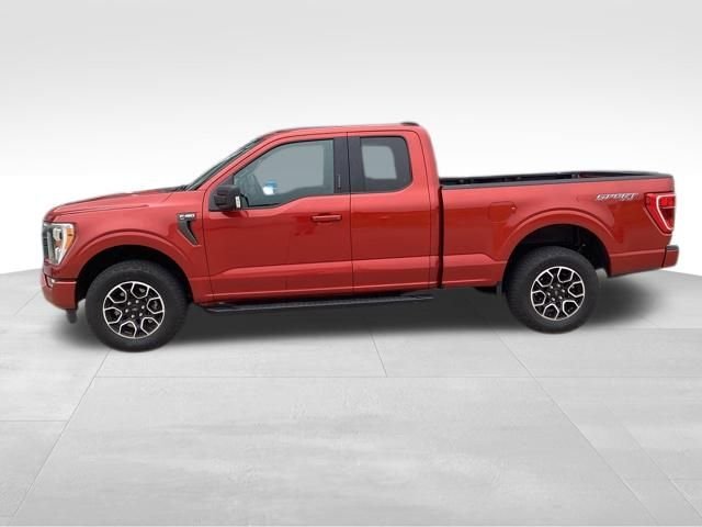 2023 Ford F-150 XLT 4x4 SuperCab 6-1/2 Box's photo