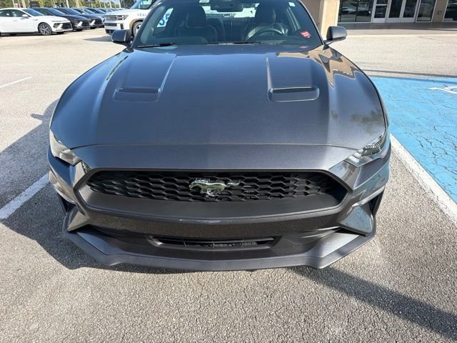 Used 2020 Gray Ford EcoBoost Premium image 2