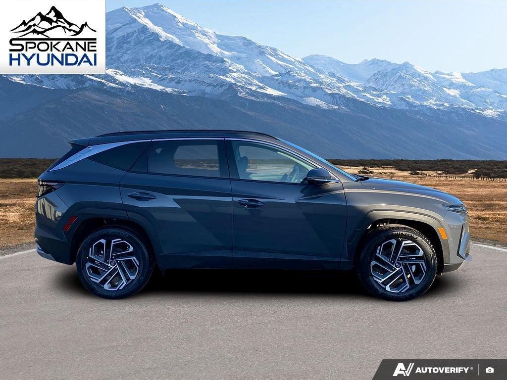 New 2026 Ecotronic Gray Hyundai Limited image 6