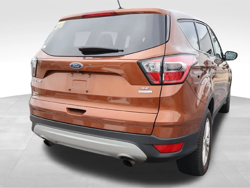 Used 2017 Canyon Ridge Metallic Ford SE image 17