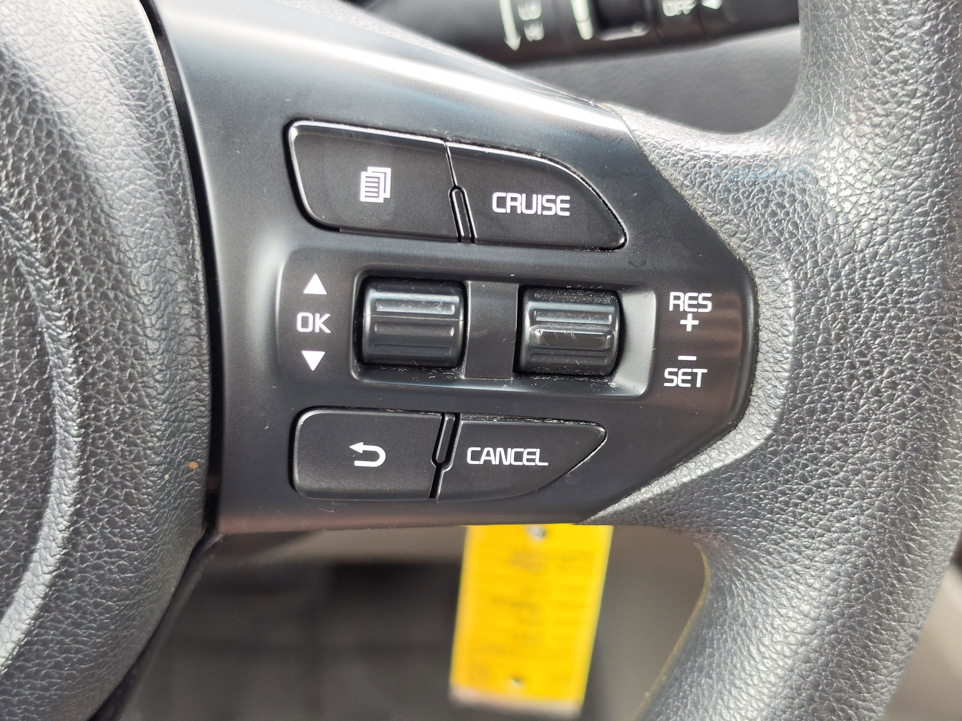 Used 2019 Panthera Metal Kia LX image 19