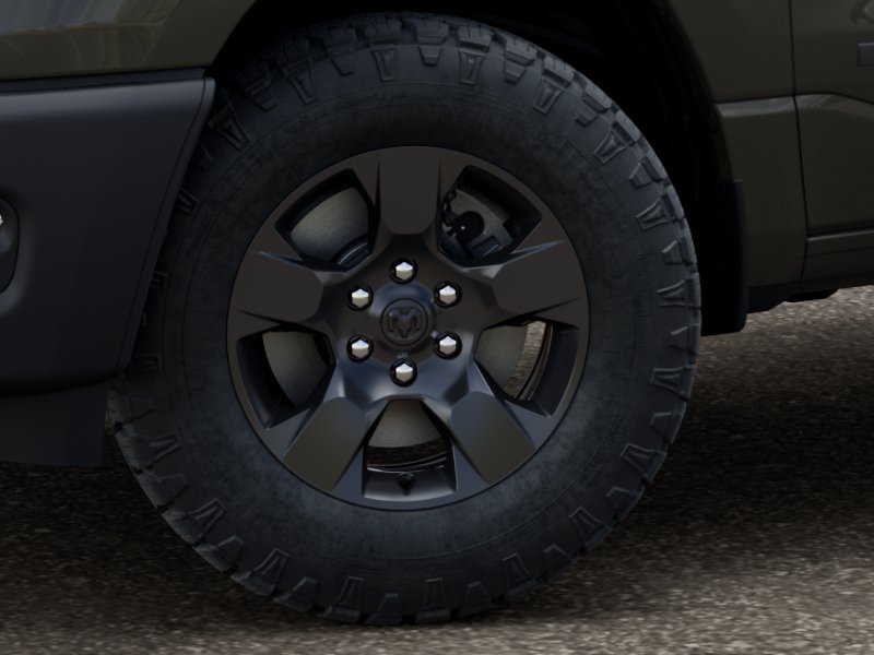 New 2027 Tank Exterior Paint RAM  image 4