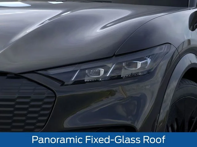 2025 Ford Mustang Mach-E GT - Photo 20