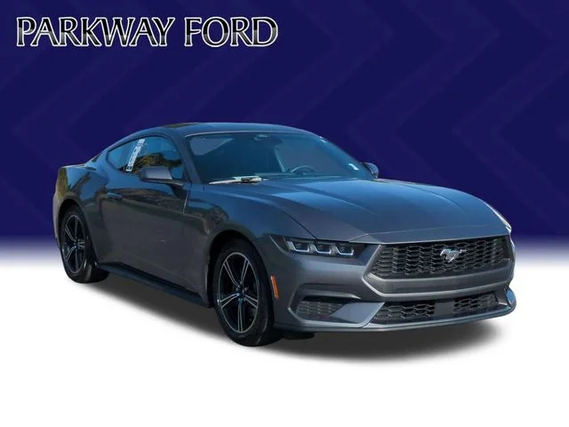 Used 2024 Gray Ford EcoBoost image 7