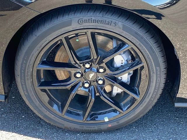 New 2026 Black Ford GT Premium image 5