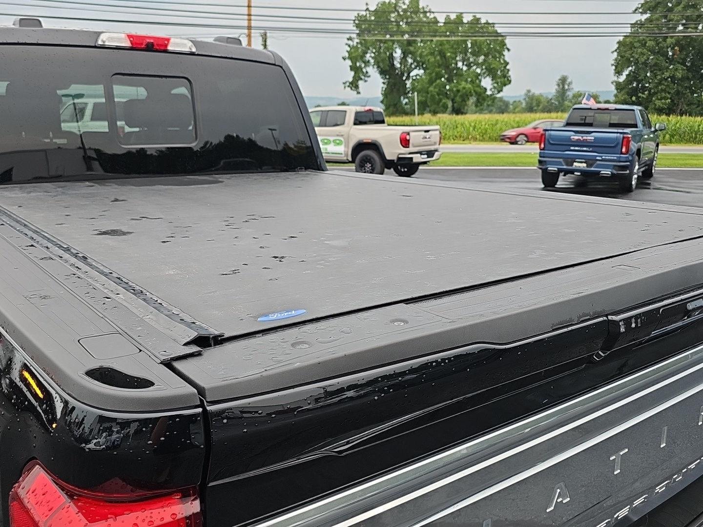 Used 2024 Agate Black Ford Platinum image 32