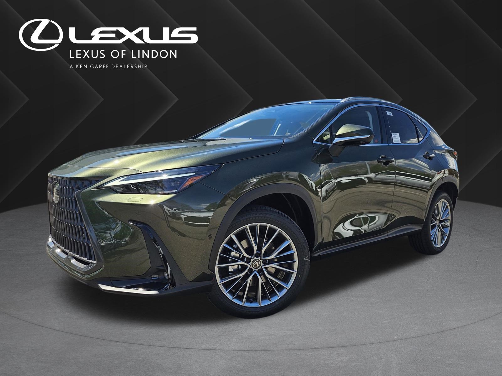 2026 Lexus NX 350h 350h Luxury AWD's photo