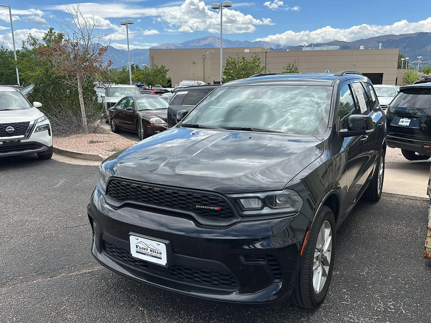 Used 2025 DB Black Clearcoat Dodge GT Plus image 10