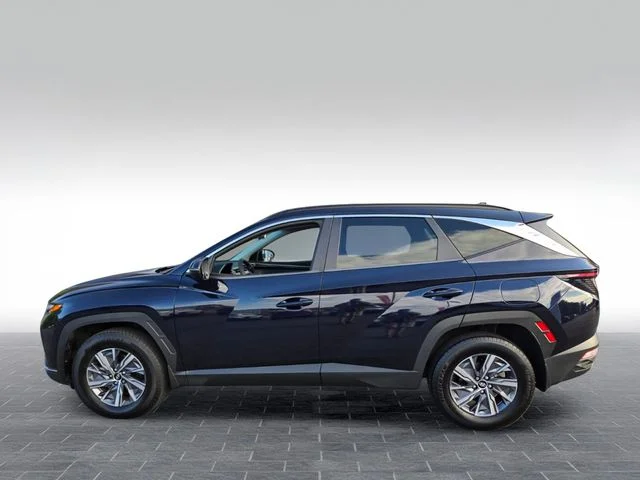 Used 2022 Blue Hyundai Blue image 4