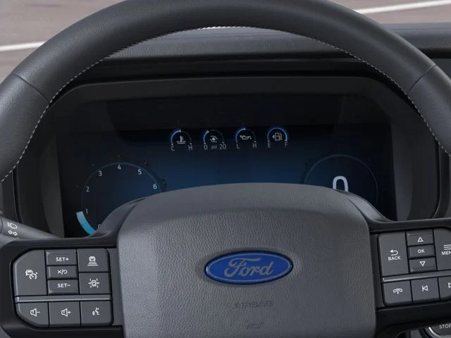 New 2026 White Ford Platinum image 13