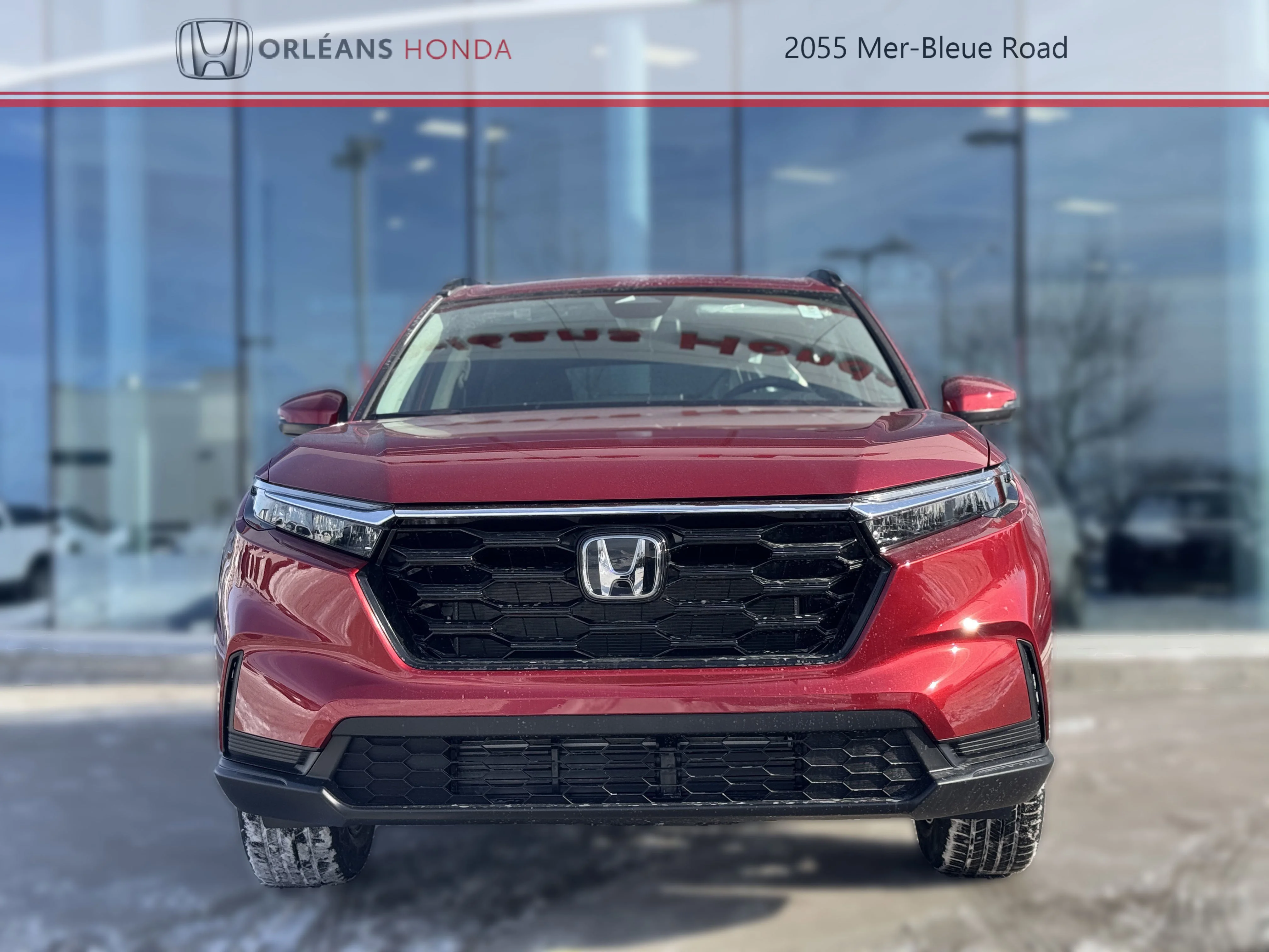 New 2026 Red Honda Sport image 14