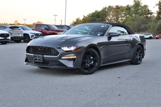 Used 2019 Gray Ford EcoBoost image 2