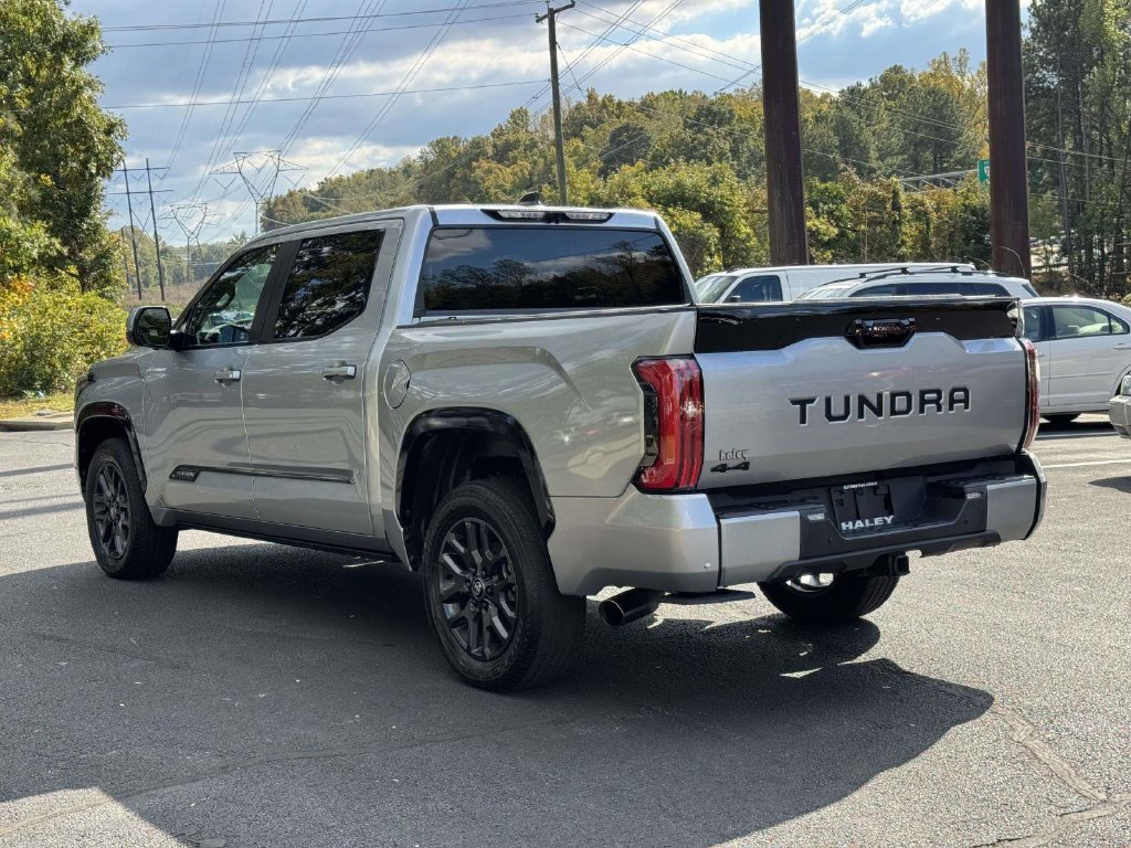 Used 2025 Silver Toyota Platinum image 25