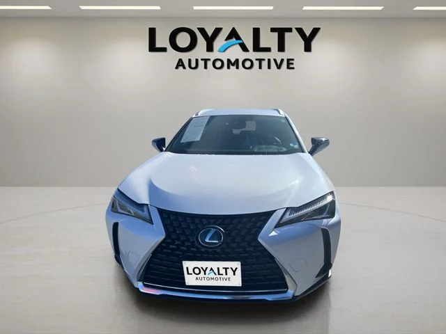 2019 Lexus UX Hybrid