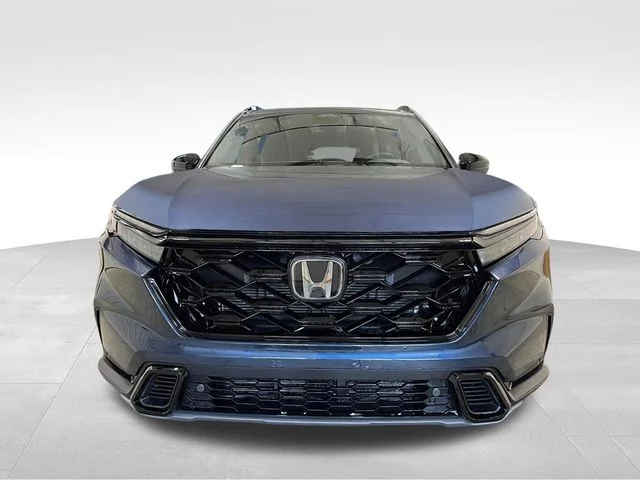 New 2026 Blue Honda Sport-L image 11