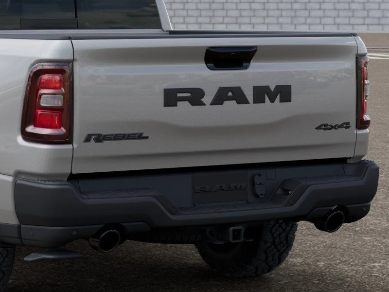 New 2026 Silver Zynith Exterior Paint RAM Rebel image 13