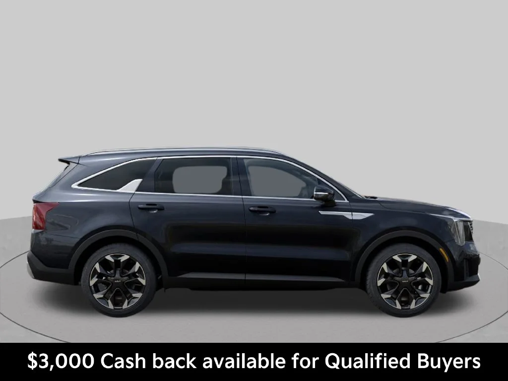 New 2026 Panthera Metal Kia EX image 7