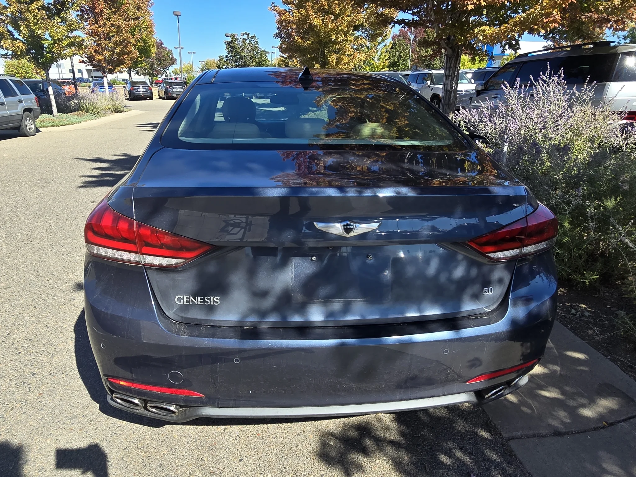 Used 2015 Montecito Blue Hyundai 5.0L image 5