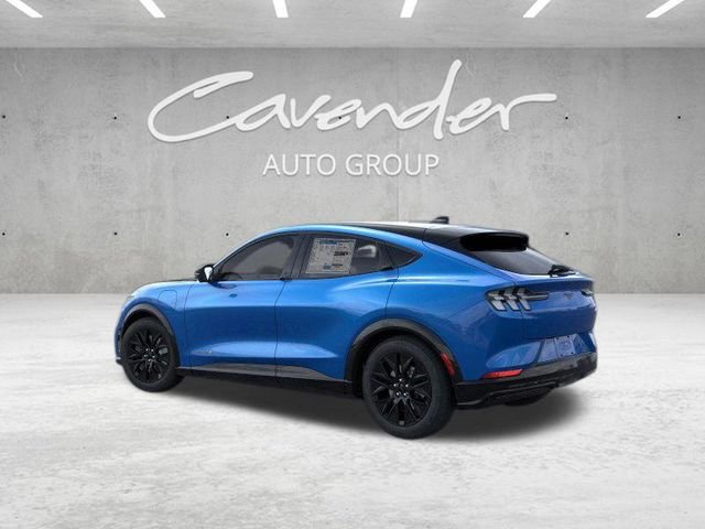 New 2026 Velocity Blue Metallic Ford Premium image 5