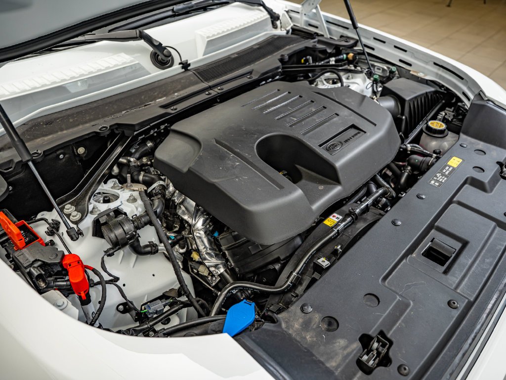 New 2026 Fuji White Land Rover X-Dynamic SE image 40