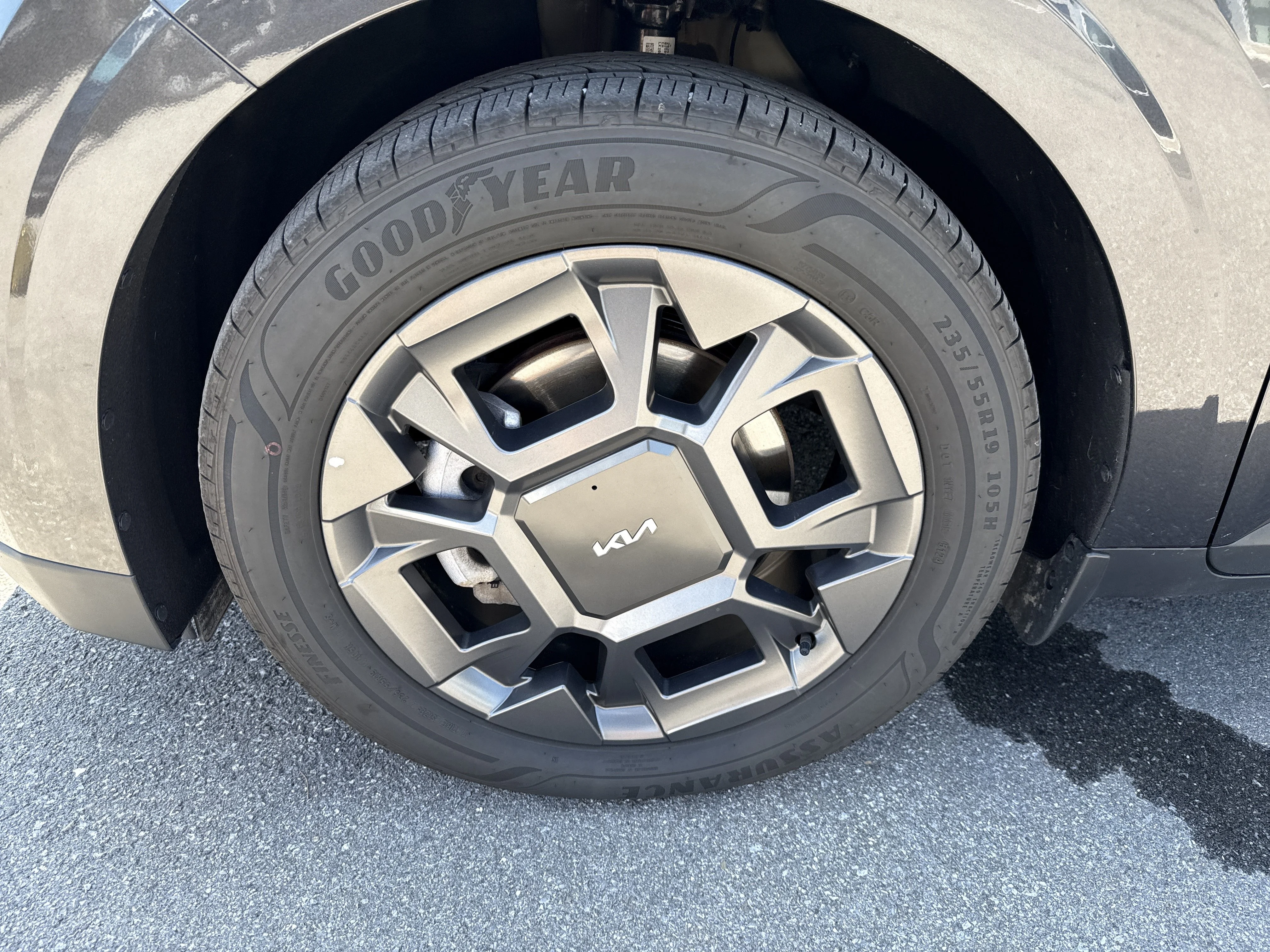 Used 2025 Panthera Metal Kia SX image 11