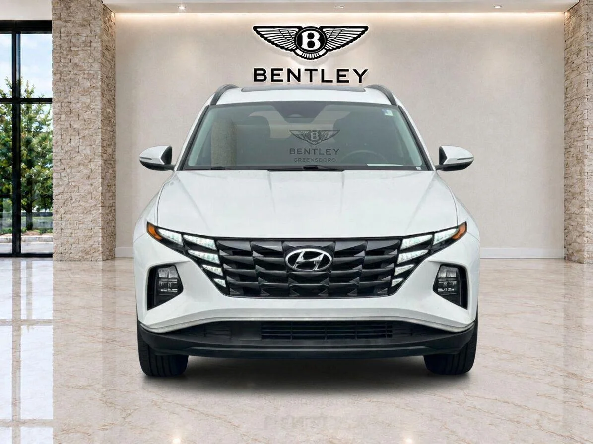 Used 2023 Serenity White Pearl Hyundai SEL image 8