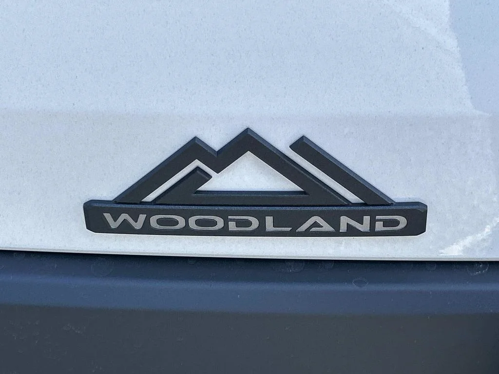 New 2026 Halo Toyota bZ Woodland image 12
