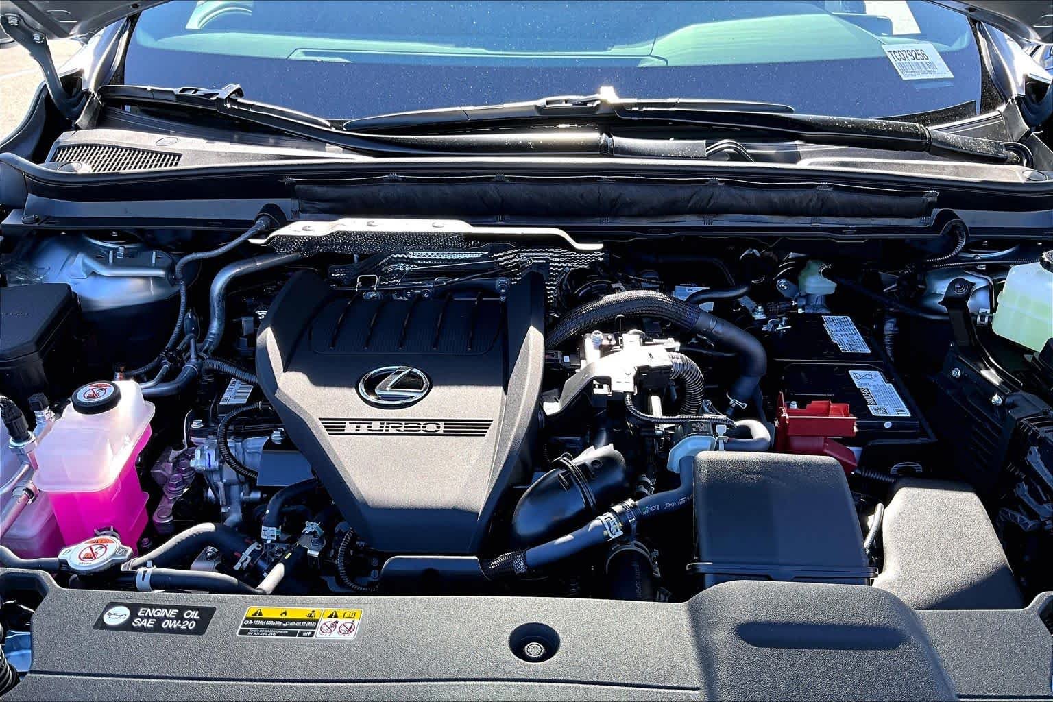 New 2026 Iridium Lexus PREMIUM image 19