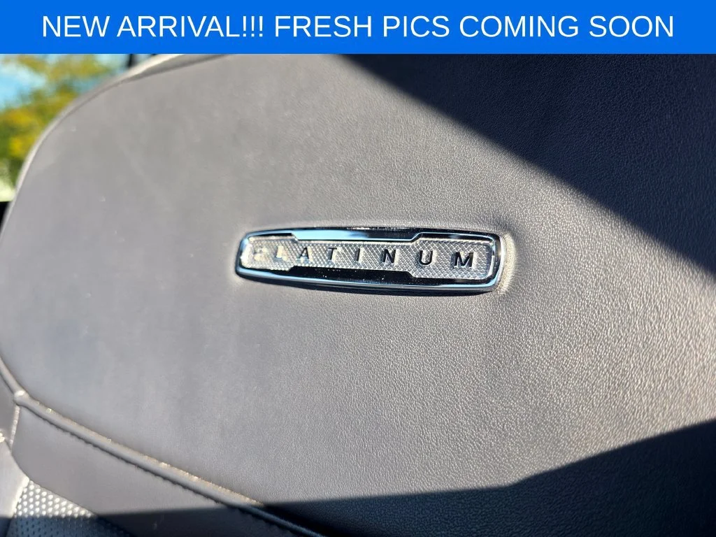 Used 2025  Ford Platinum image 8