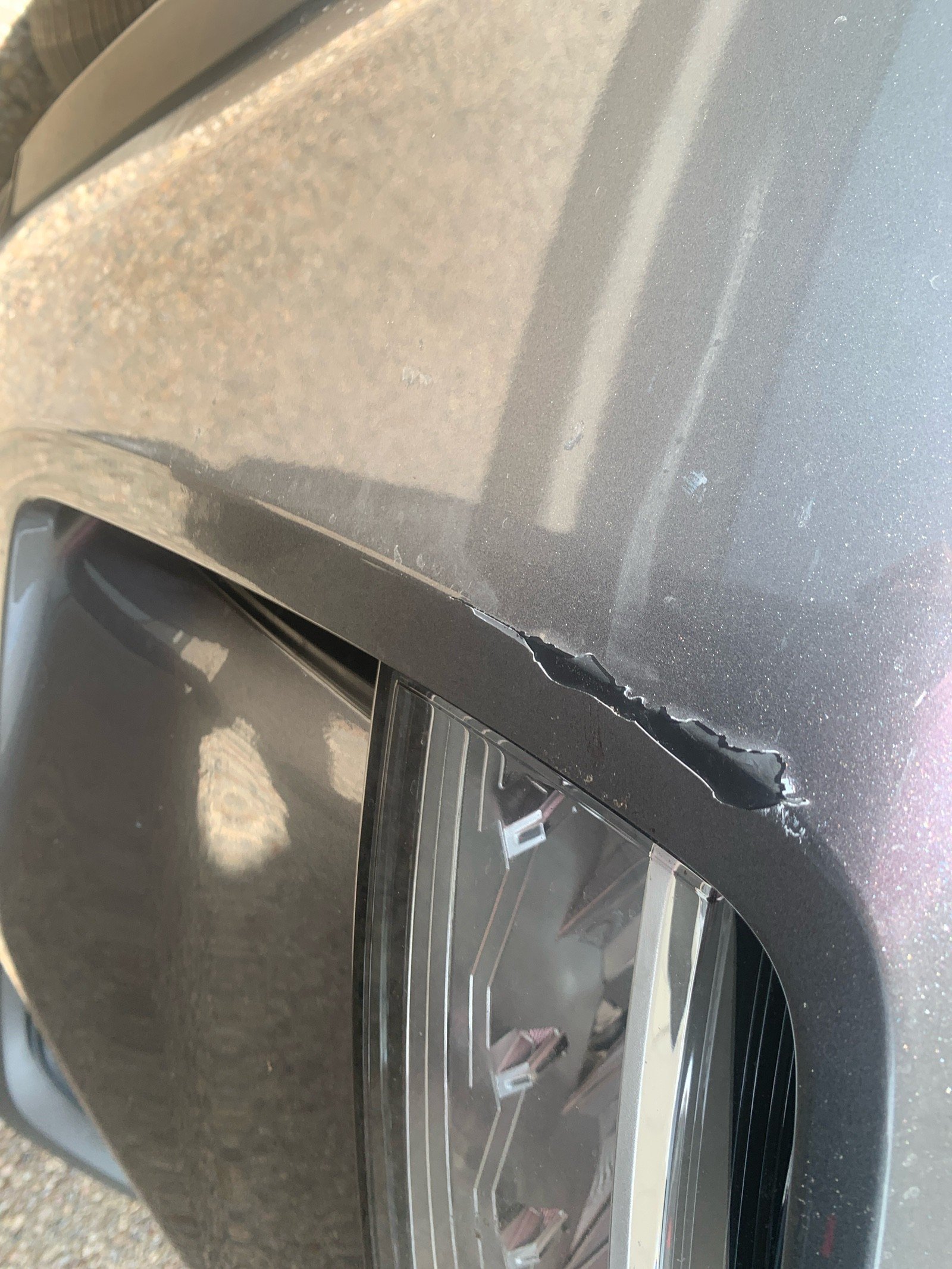 2021 Nissan Rogue SV Gray at Robbins Nissan